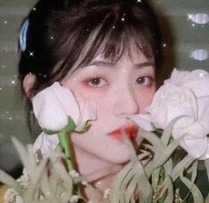 幸存的希德