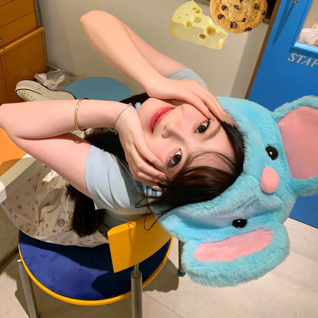 鼹鼠
